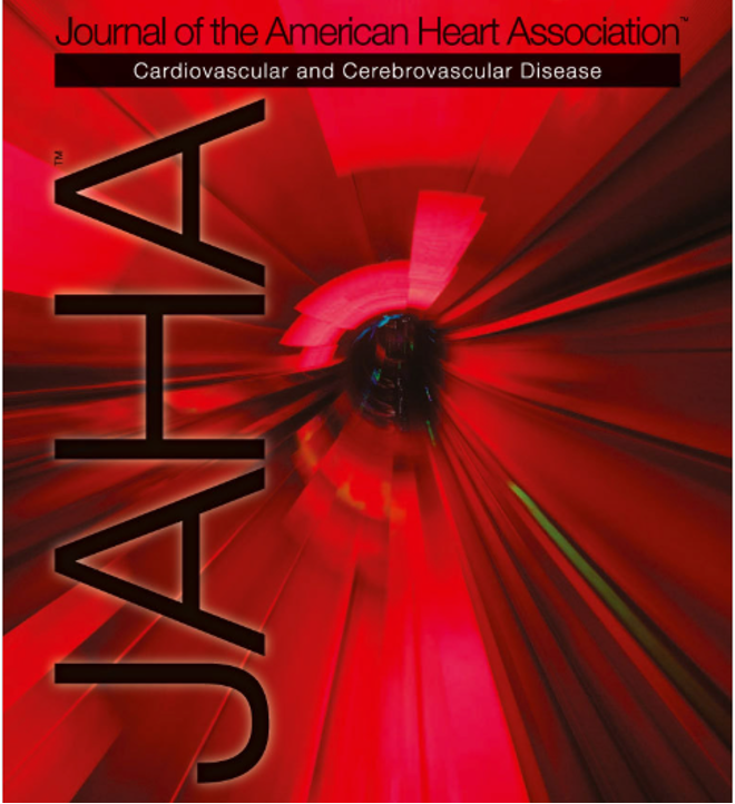 New publication: What predicts success in the QUALIREHAB program?